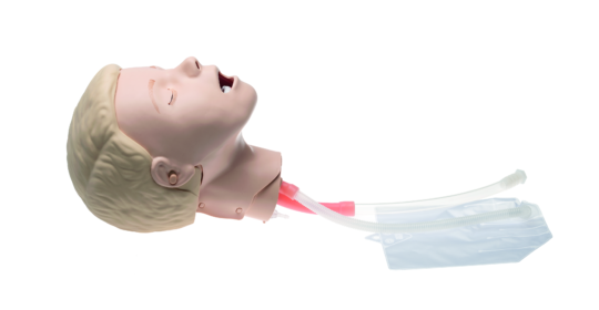 20% Rabatt – Laerdal Resusci Junior QCPR – Intubationskopf